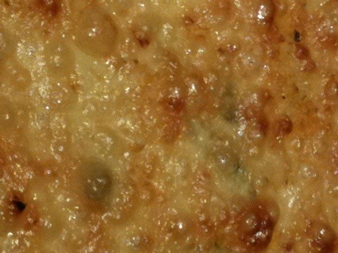 20110609-110858.jpg